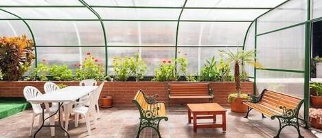 Un invernadero con una mesa, sillas, bancos y plantas en macetas.