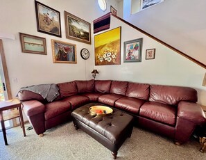 TV, computer monitors, printers - Practical Zen: 4-bedroom 5-bed 2-bath close to everything, flexible, cookies. (Lawrence)