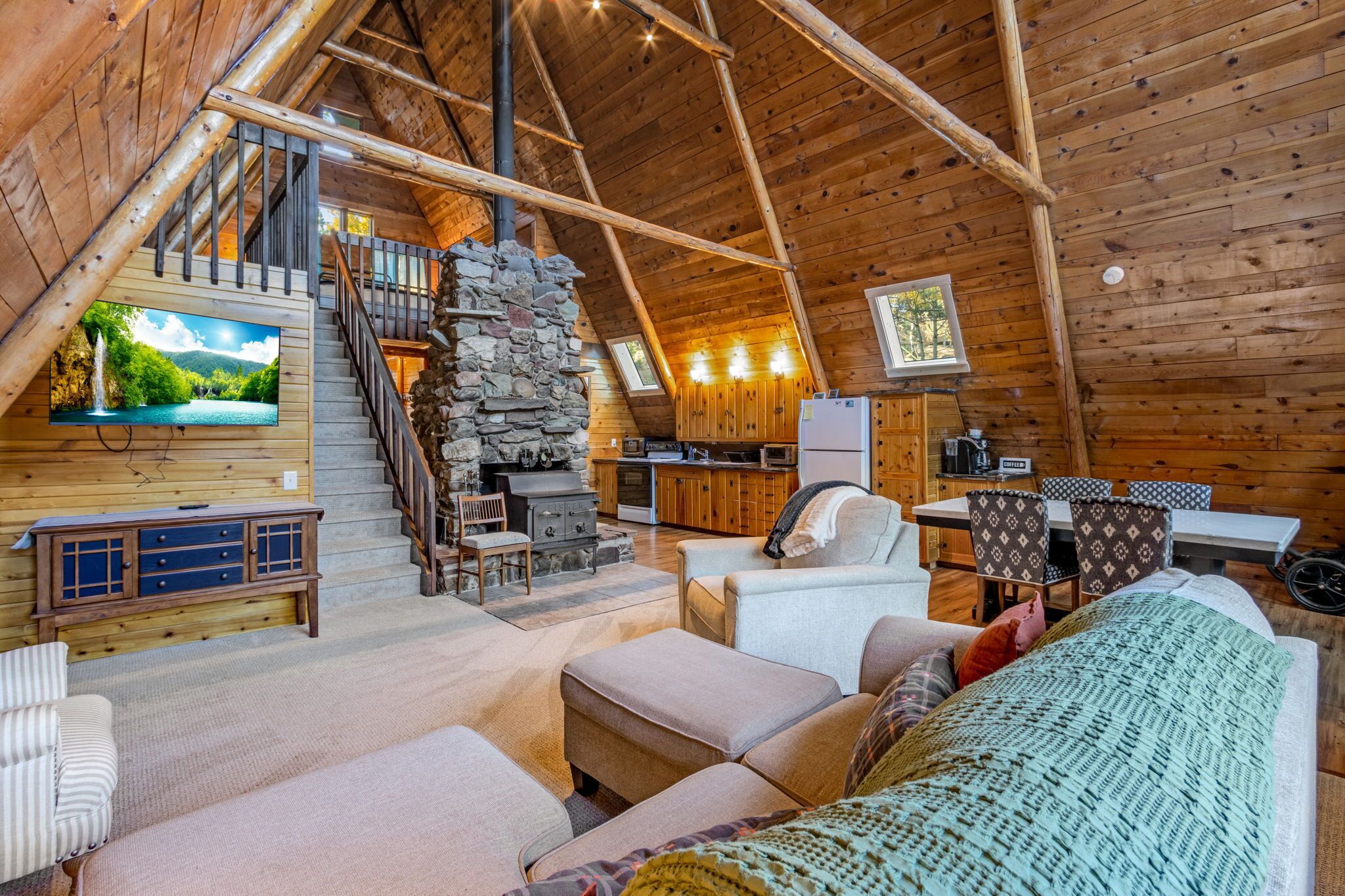 Smart TV, fireplace, video games, books