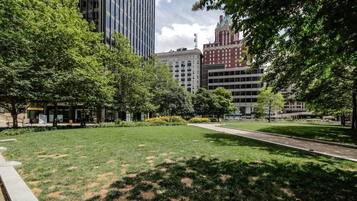 A park with a paved walkway, surrounded by trees and buildings.