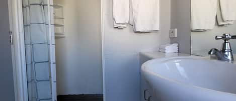 Ein modernes Badezimmer mit Dusche, Waschbecken und Spiegel.