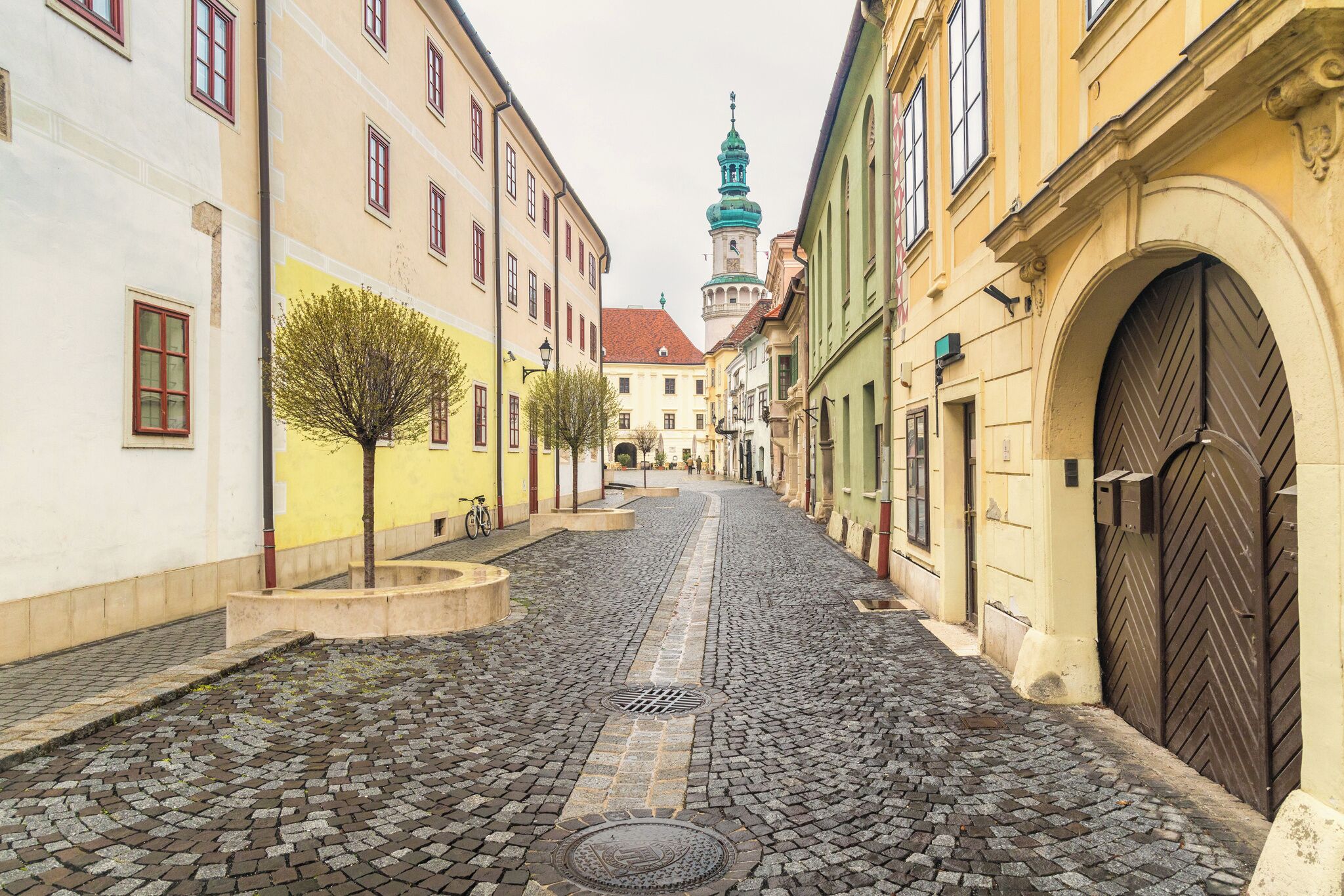 A cobblestone street lined with historic buildings, a central tree, and a distant tower.