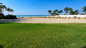 Una playa con zona verde al frente, palmeras y un cielo azul despejado.