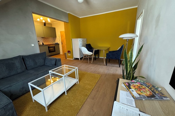 Das Wohnzimmer mit offener Küche und Schlafcouch lädt zum entspannen ein.