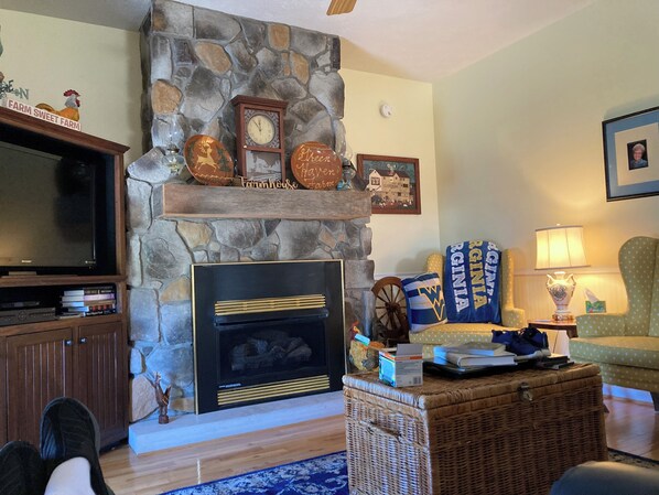 TV, DVD player, books, stereo - Greenhaven Farm: 4-bedroom farmhouse in beautiful Cool Ridge, WV (Cool Ridge)