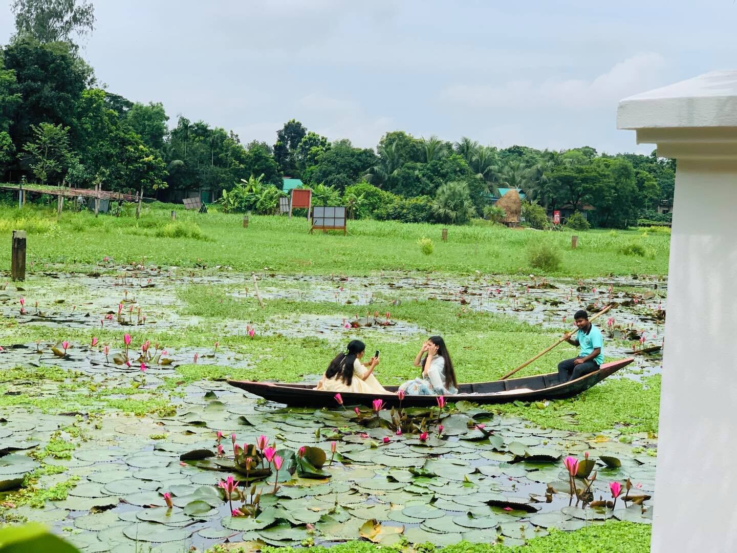 A boat on a pond surrounded by greenery.