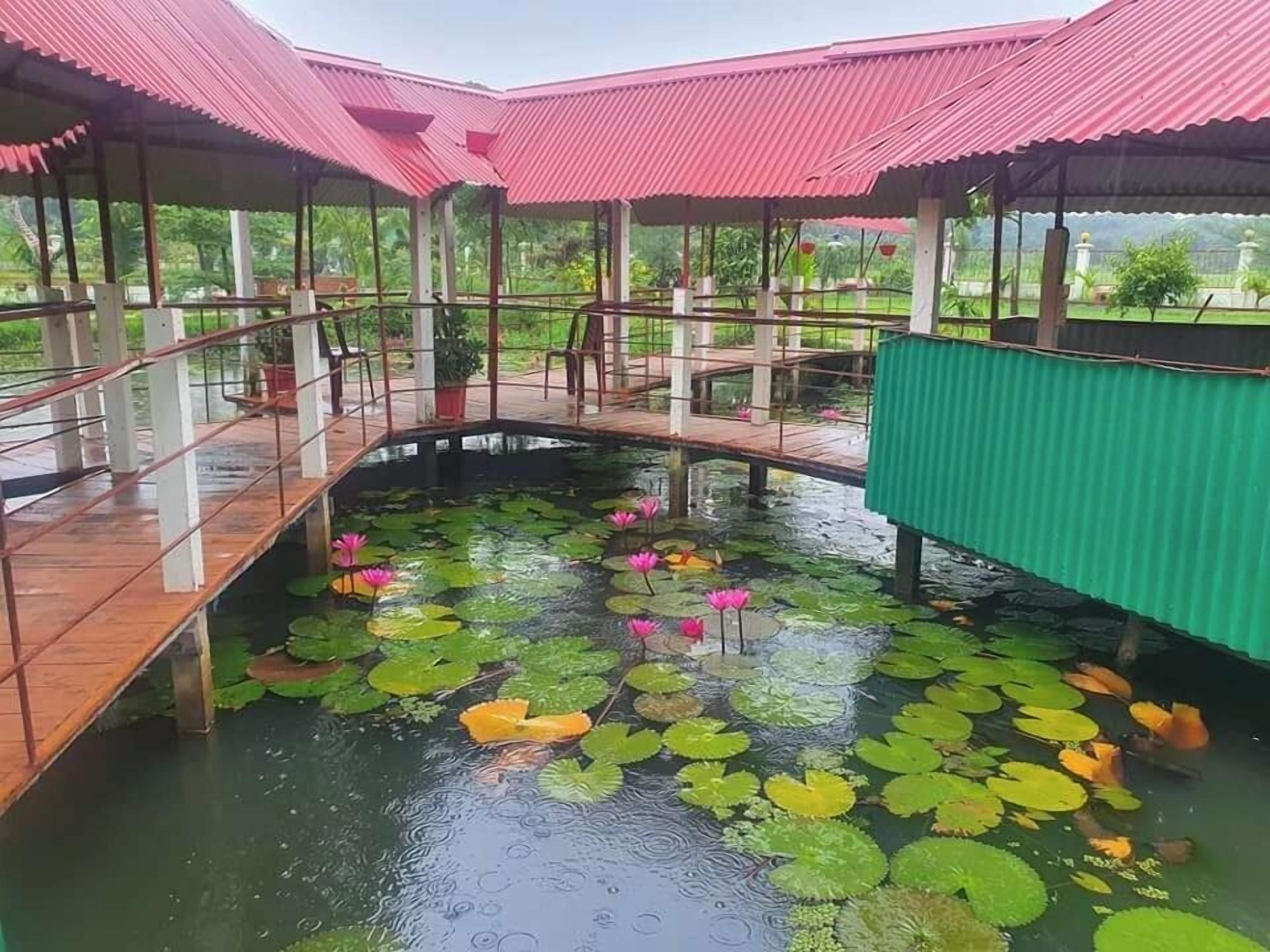 Un espacio cubierto con un estanque, nenúfares y un puente.