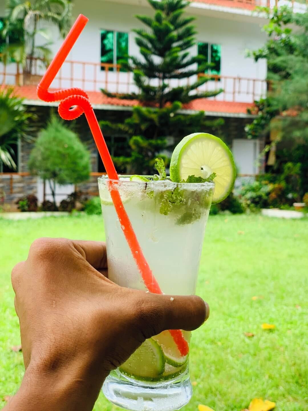 Une main tenant un verre contenant une boisson à base de citron vert, avec une paille rouge, décorée d’une tranche de citron vert et de feuilles de menthe, en extérieur, avec un bâtiment et de la verdure en arrière-plan.