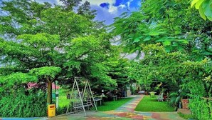 Un sentier qui traverse un jardin luxuriant, avec une balançoire et un banc.