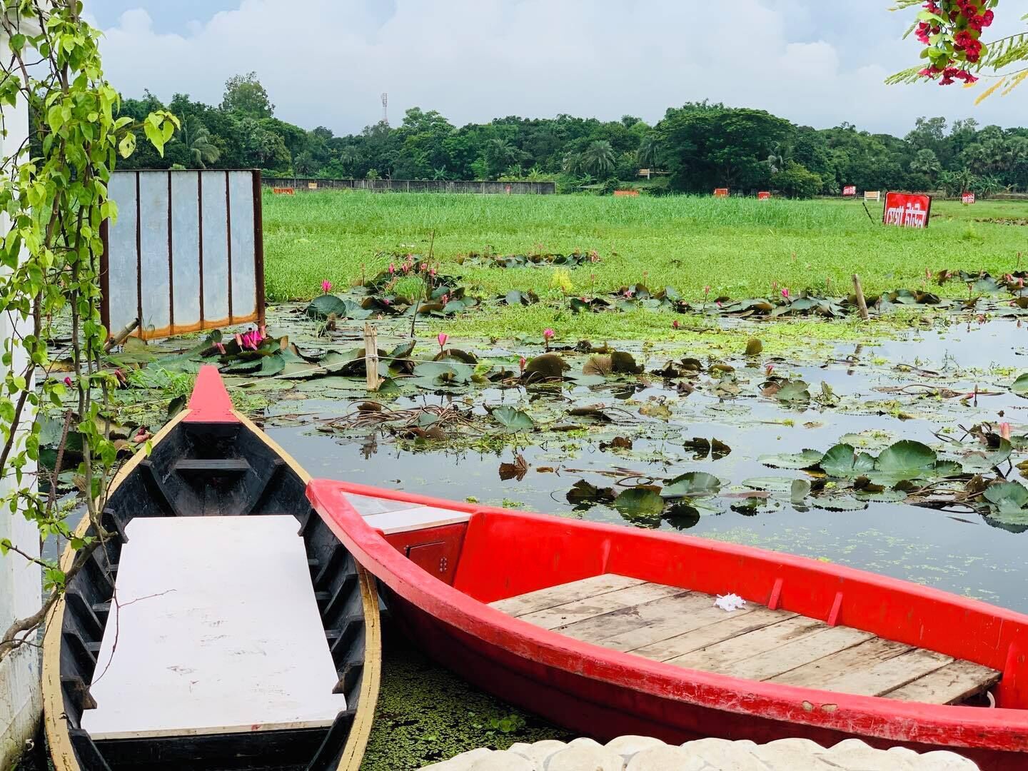 Two boats, one red and one black, docked at a calm water body with lily pads and greenery in the background.