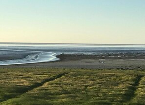 House | View from property - Holiday Home Near Wadden Sea & Elfsteden Path (Tzummarum)