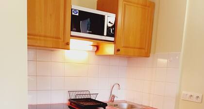 Terrasses D 306 - PARC NAT. VANOISE appart. 6 pers