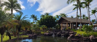 Hilton Kings' Land Resort > Big Island HI > New Year's Week > 1 Bedroom Sleeps 4