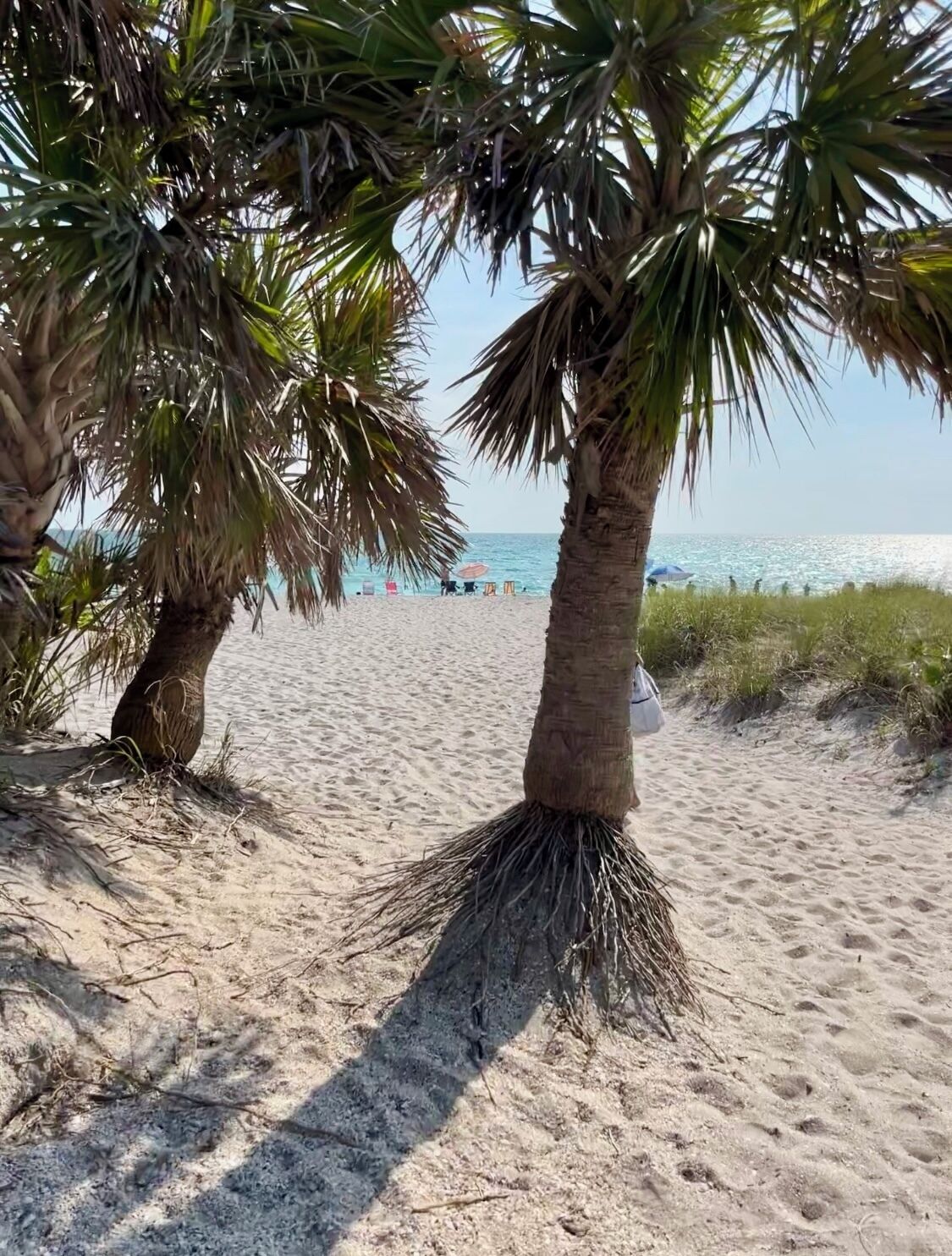 Sun-loungers, beach towels