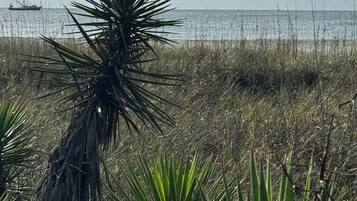 Plage à proximité, chaises longues