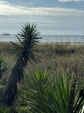Beach nearby, sun loungers