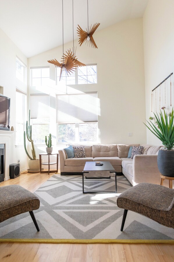 Smart TV, fireplace, books