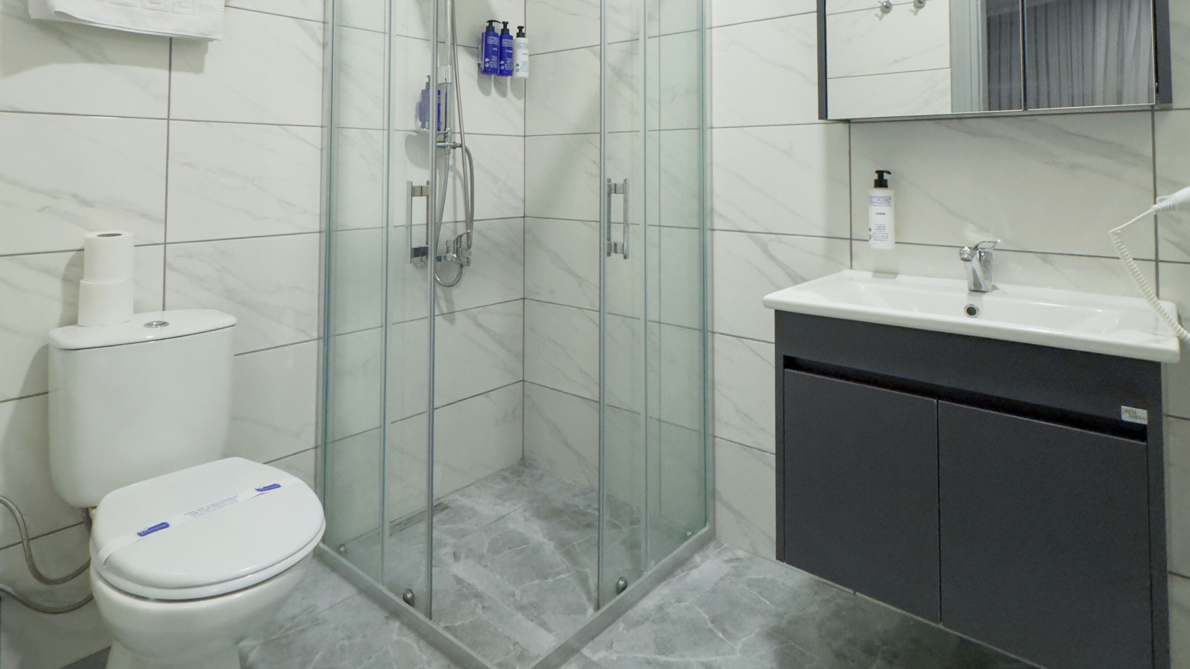 A modern bathroom with a glass-enclosed shower, a toilet, and a sink with a mirror above.