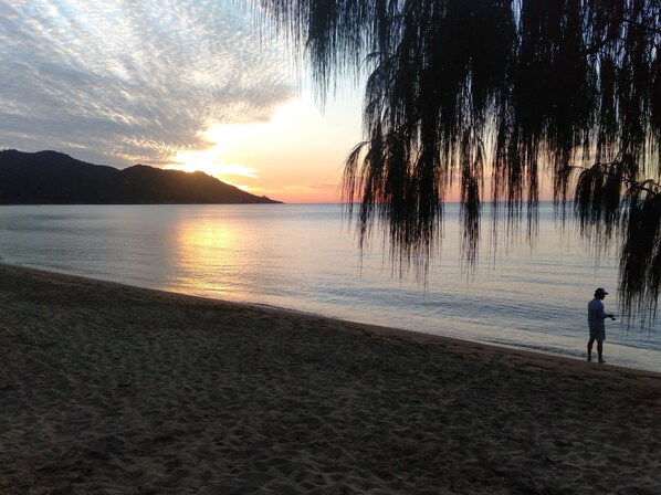 Beach - 50HSB your Island Oasis 
 "BEST BEACH" Horseshoe Bay 

Magnetic Island (Horseshoe Bay)