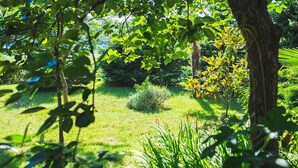 Un jardín exuberante con diversos árboles y arbustos, un área con césped y un pequeño matorral.