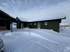 Exterior - Skylark (Vrådal)
