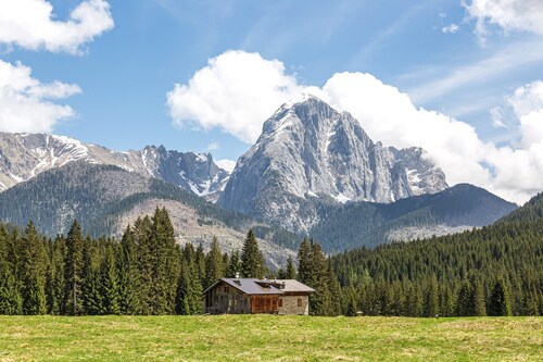 'Pini' Room with Mountain View and Balcony