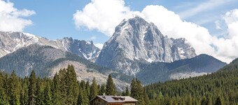 'Pini' Room with Mountain View and Balcony