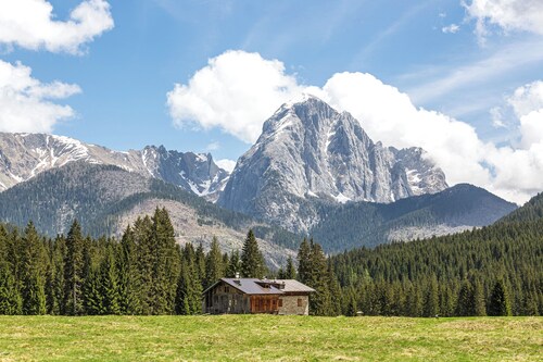 'Pini' Room with Mountain View and Balcony