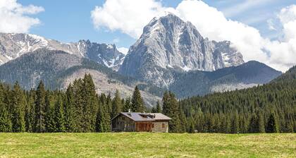 'Pini' Room with Mountain View and Balcony