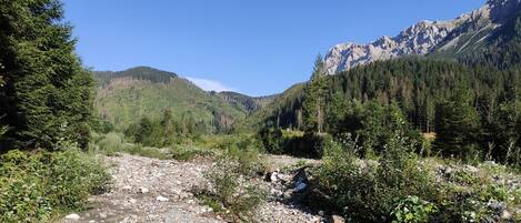 Un sentier rocailleux qui traverse une vallée boisée, avec des montagnes en arrière-plan.