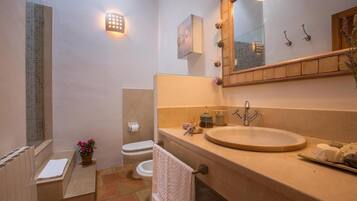 Un baño con lavabo, espejo, toallero, inodoro y zona de ducha.