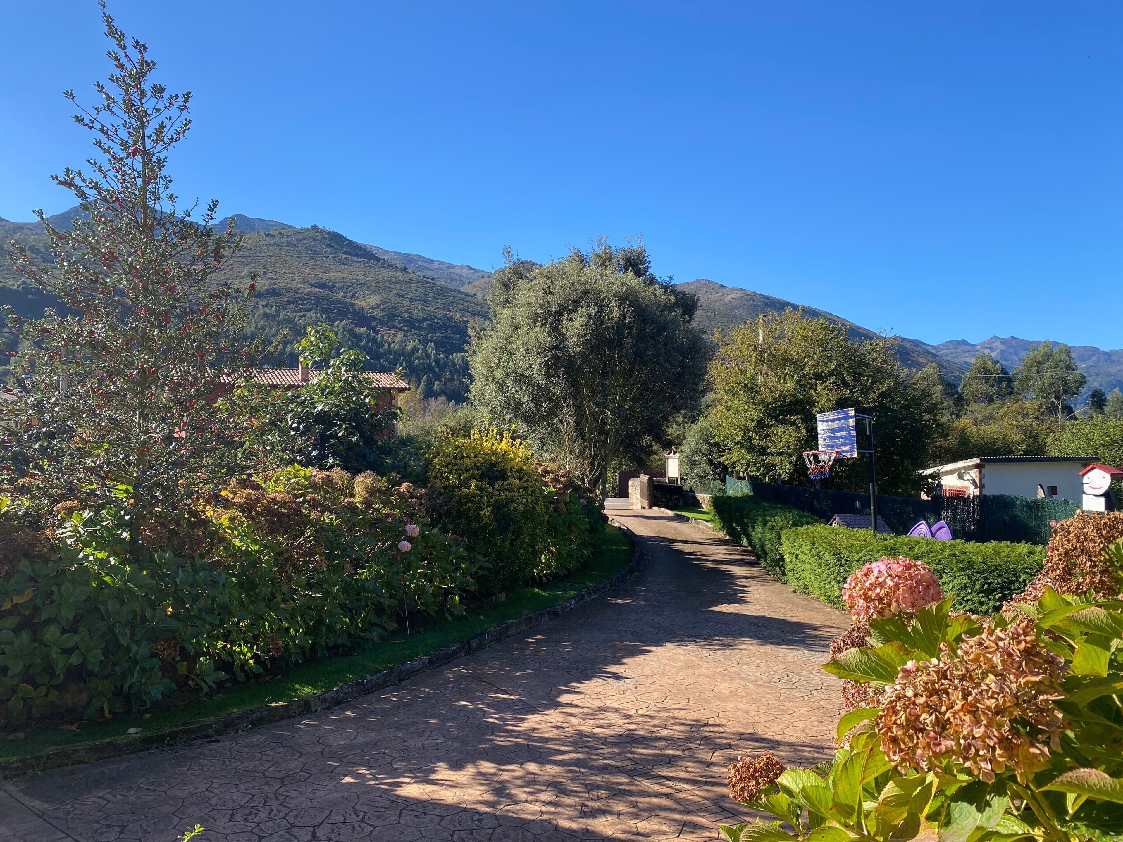 Ein gepflasterter Weg schlängelt sich durch einen Garten mit verschiedenen Pflanzen und Bäumen, ein Basketballkorb ist zu sehen, und im Hintergrund erhebt sich ein Berg.