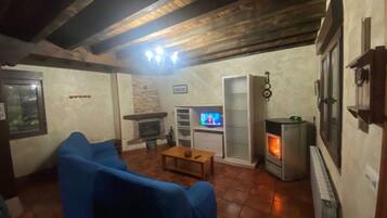 A living room with a fireplace, a television, and a wood-burning stove.