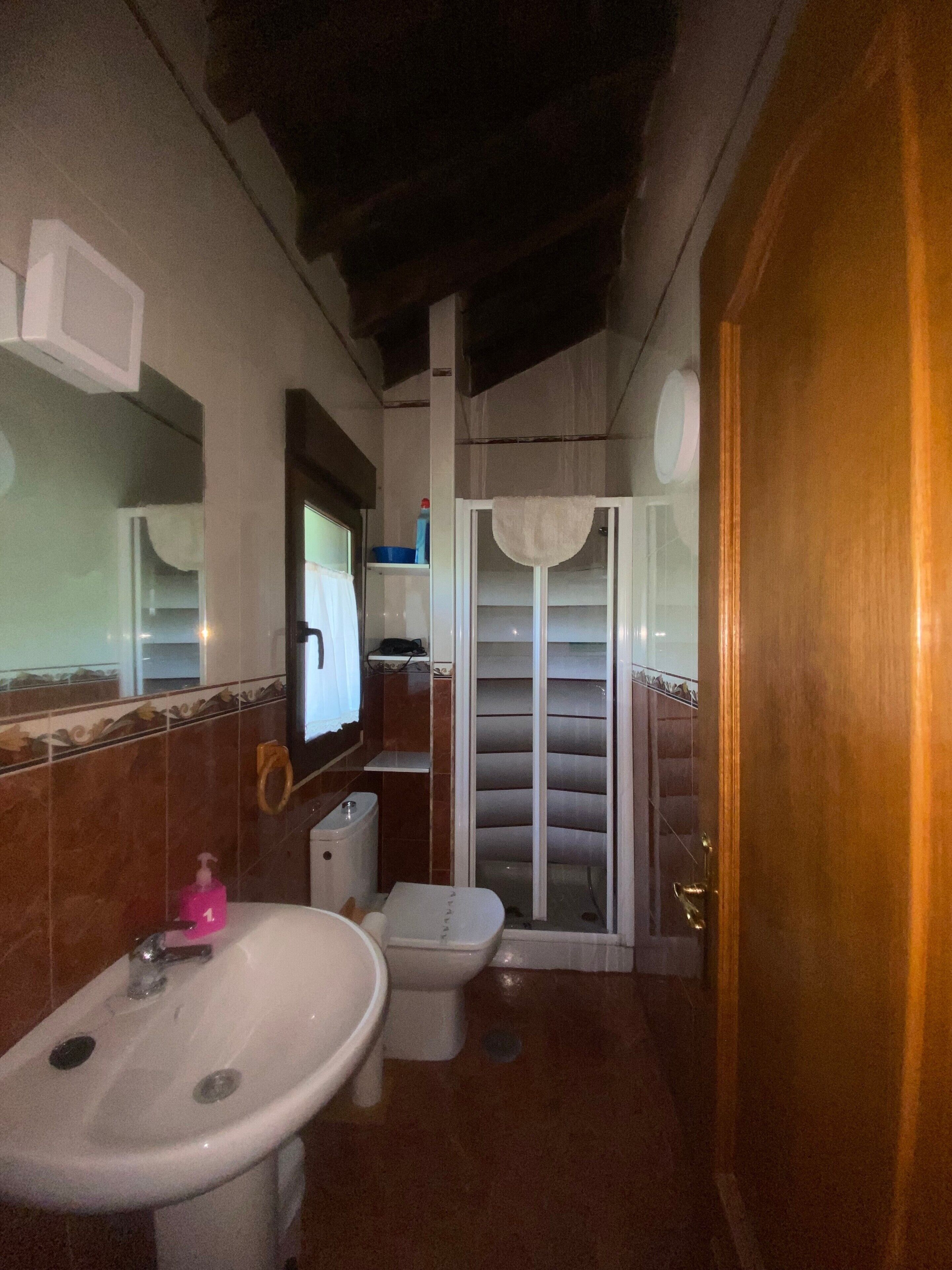 Un baño con lavamanos, inodoro y ducha.