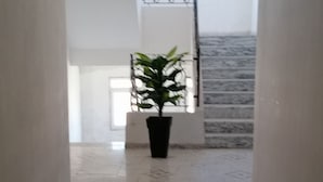 A hallway with a potted plant, a staircase, and a tiled floor. - HOTEL NASSMA residence  (Jijel)