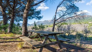 A picnic table in a natural setting with trees and a mountain view.