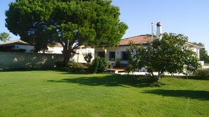 A house with a tiled roof, a large tree in the front yard, and a well-maintained lawn.