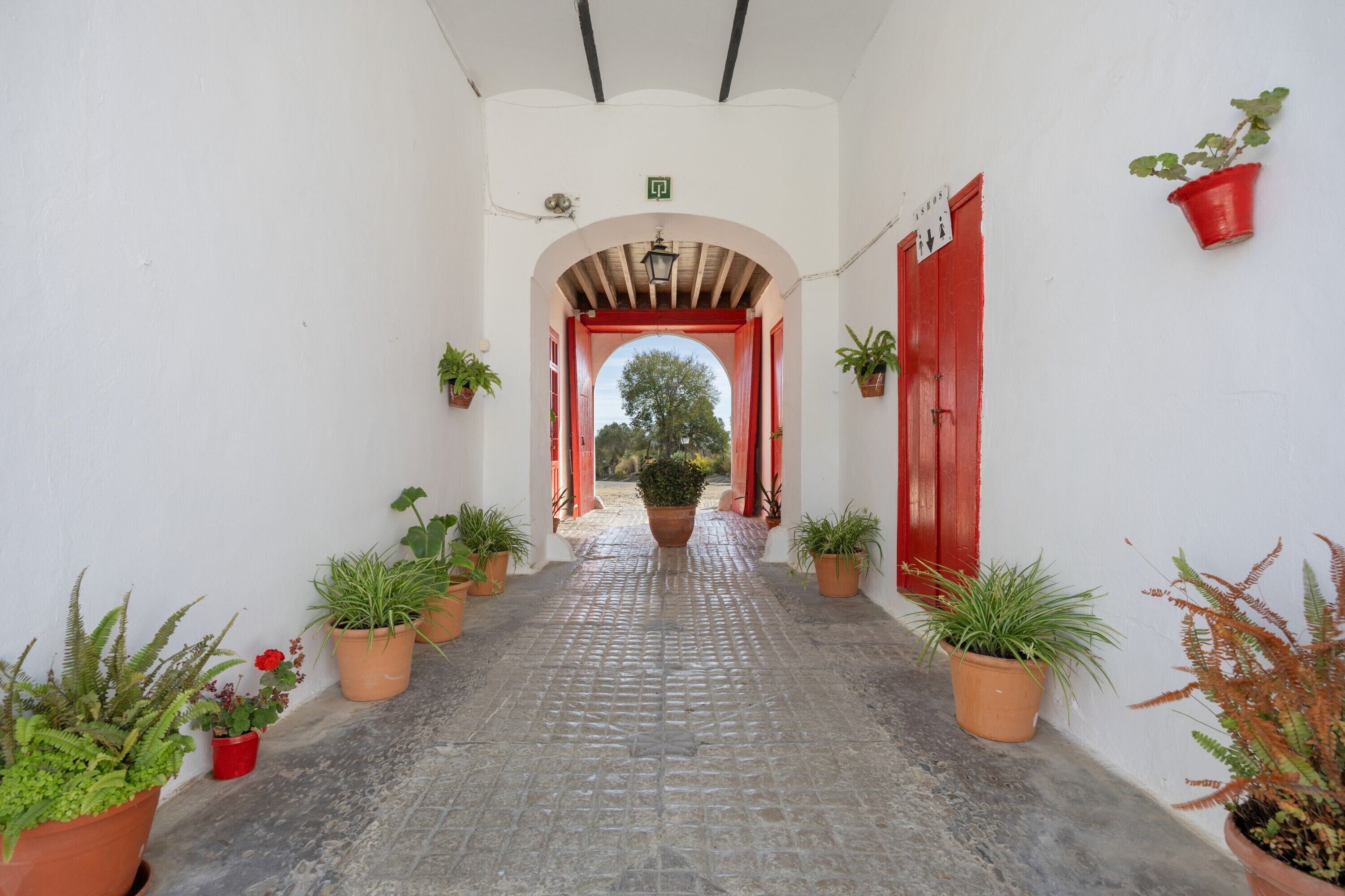 Jardines del alojamiento