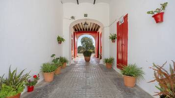 Terrein van de accommodatie