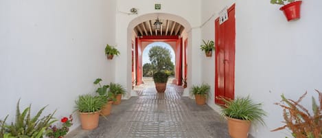 A corridor with a tiled floor, potted plants, and a red door at the end.