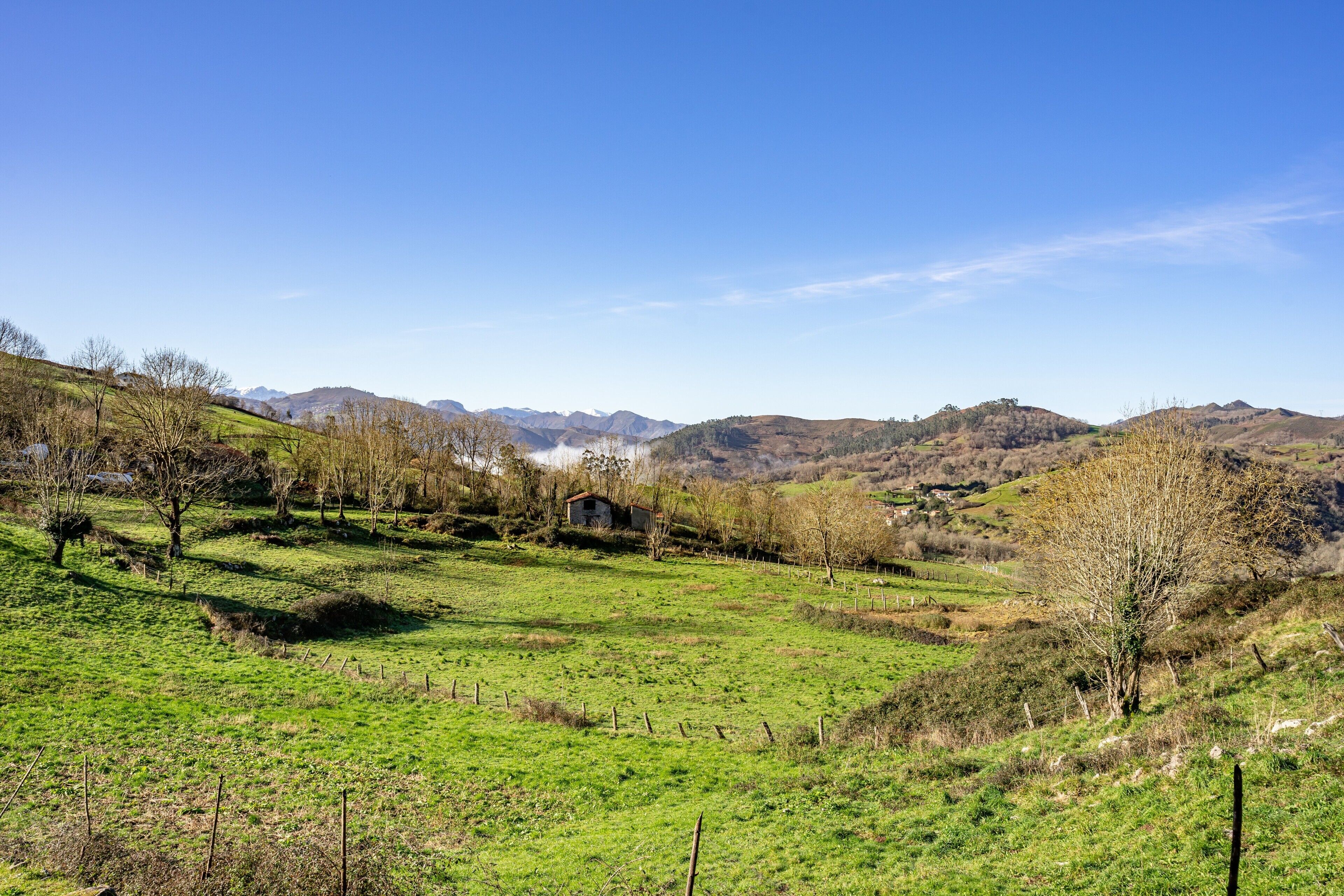 Ländliche Landschaft mit einem kleinen Haus, umgeben von Feldern und Bäumen, unter blauem Himmel.