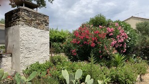 Un jardin agrémenté de cactus, de plantes à fleurs et d’une structure en pierre.