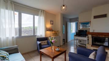 TV, fireplace, DVD player