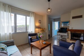 TV, fireplace, DVD player