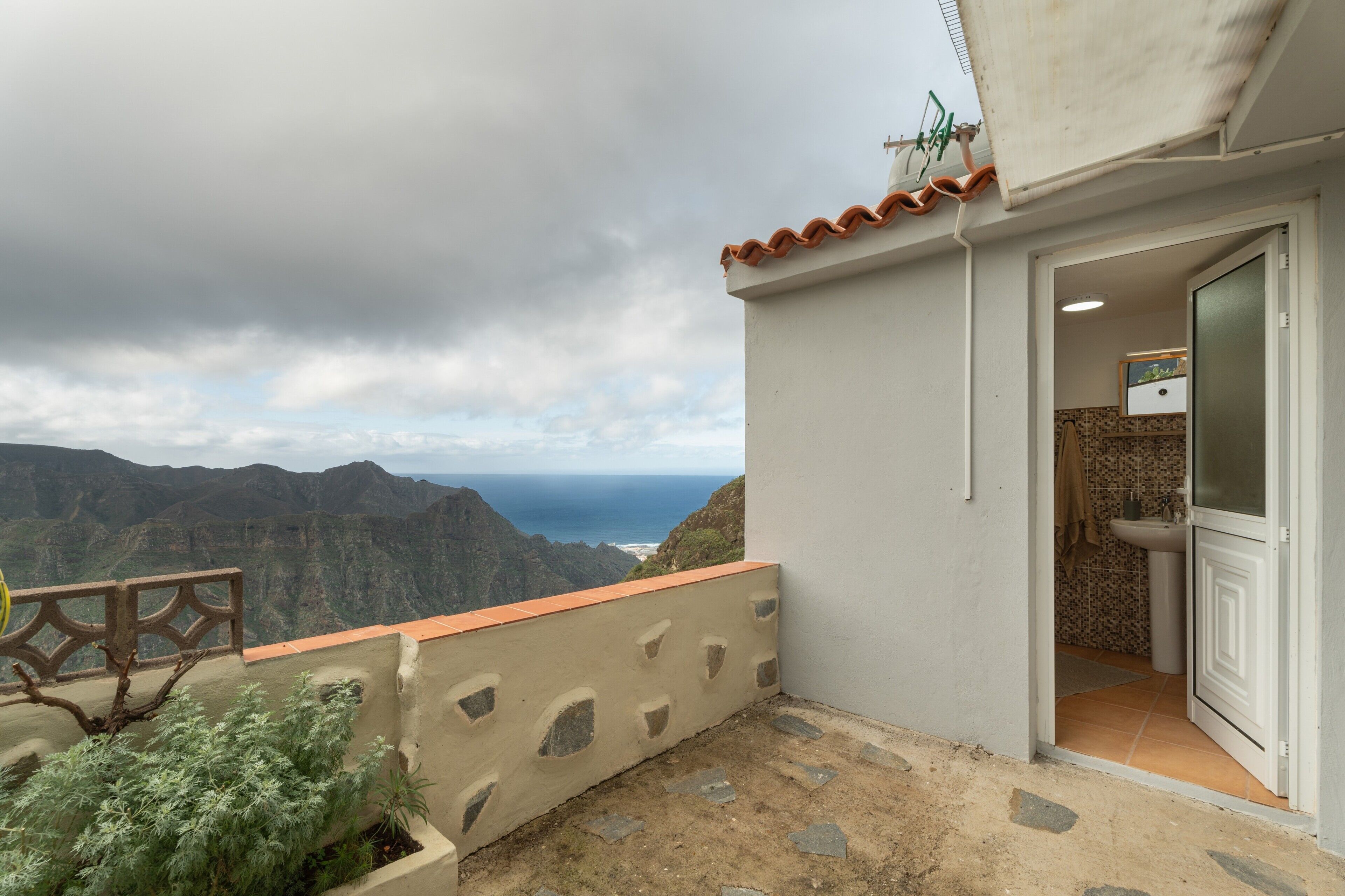 テラス / パティオ