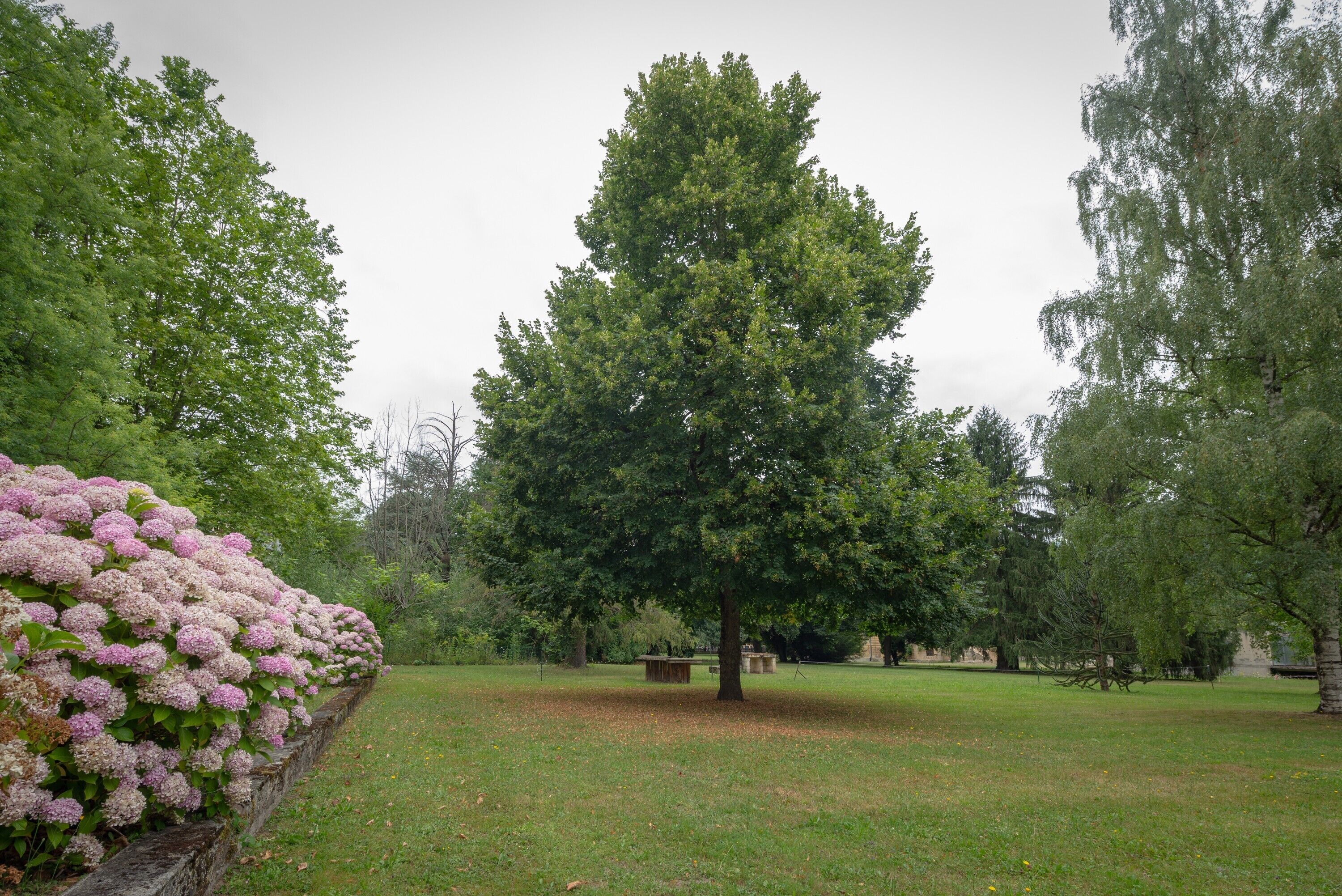 Parco della struttura