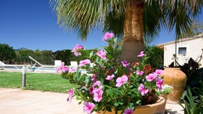 A garden with pink flowers, a palm tree, and a pool area.