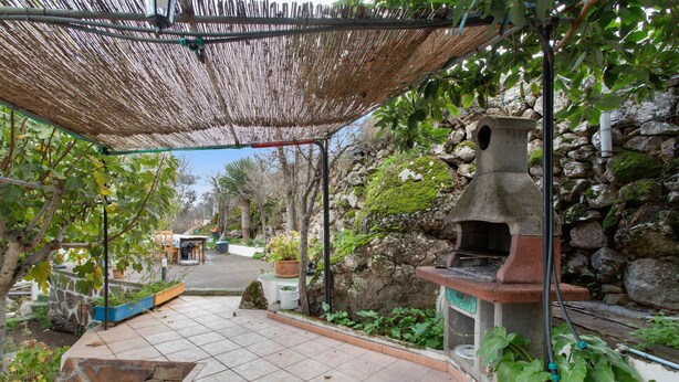Eine Terrasse mit Steinmauer, Grill und Kübelpflanzen.