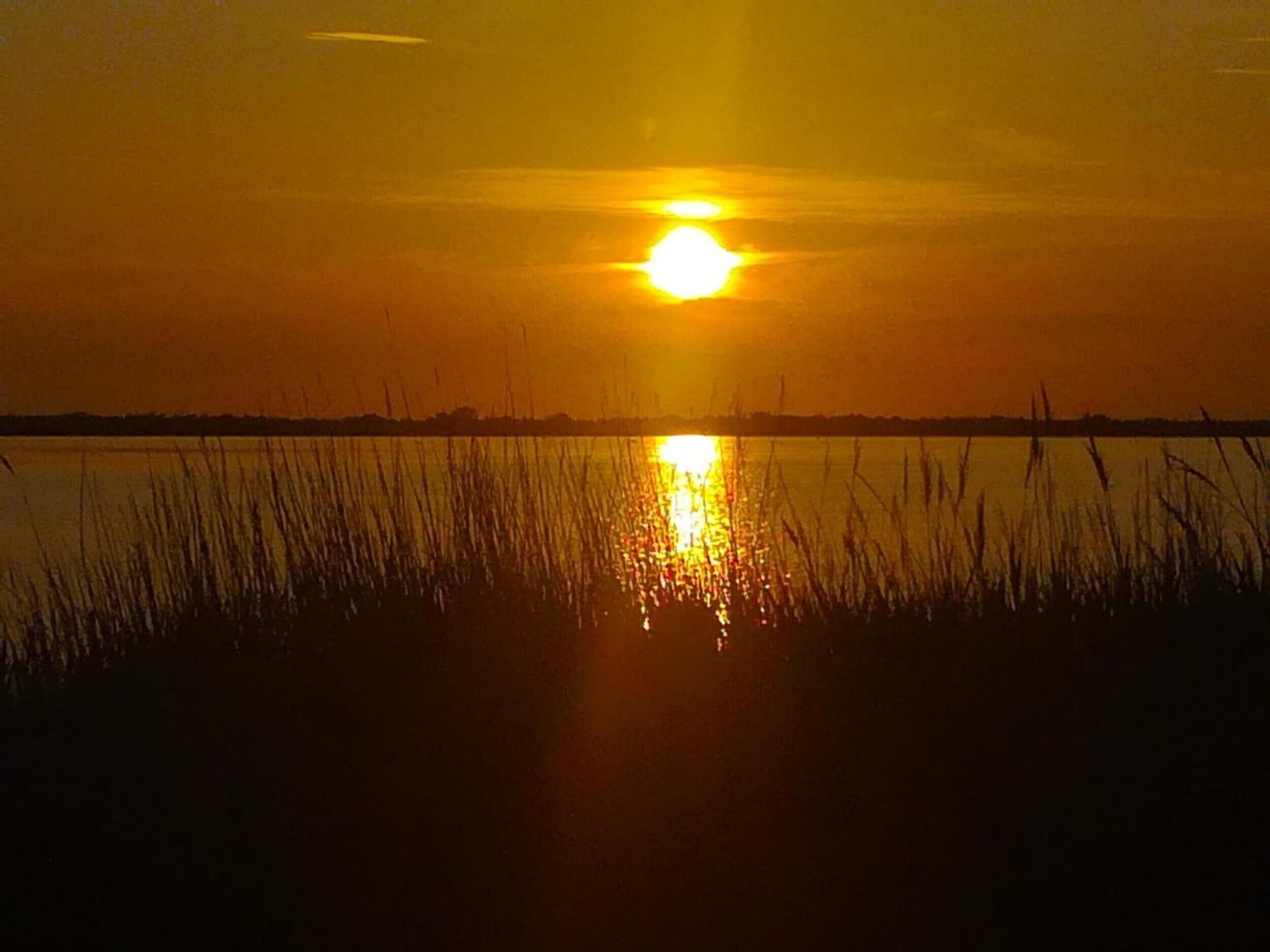 Een zonsondergang boven kalm water, met hoog gras op de voorgrond.