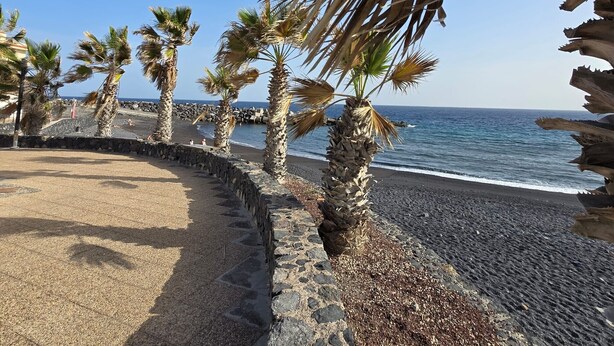 Un paseo marítimo bordeado de palmeras y un muro de piedra, que conduce al mar.